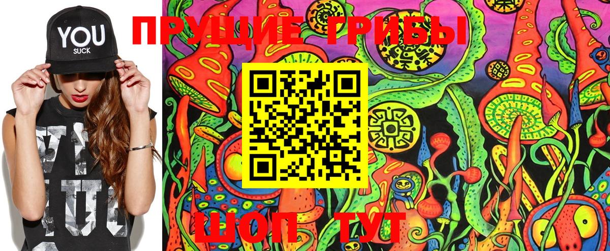 Галлюциногенные грибы Psilocybe  Псилоцибиновые грибы MAGIC MUSHROOMS  Вход с VPN  Сочи 