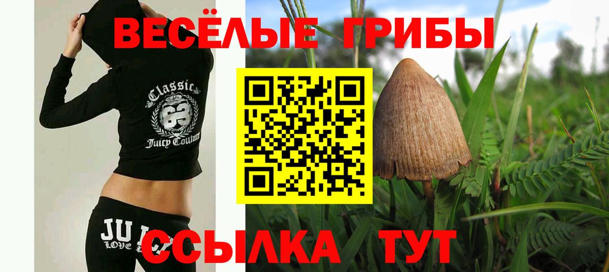 Галлюциногенные грибы GOLDEN TEACHER Сочи